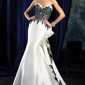 Beautiful Evening Gown!